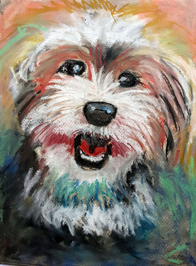 Shaggy Dog in pastels_400
